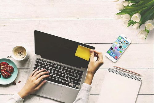 微信小程序 自己做還是找外包？西安軟件開發服務公司選擇指南